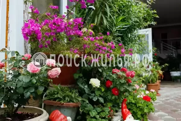 Частный сектор «Оазис», Джубга Частный сектор «Оазис», Джубга