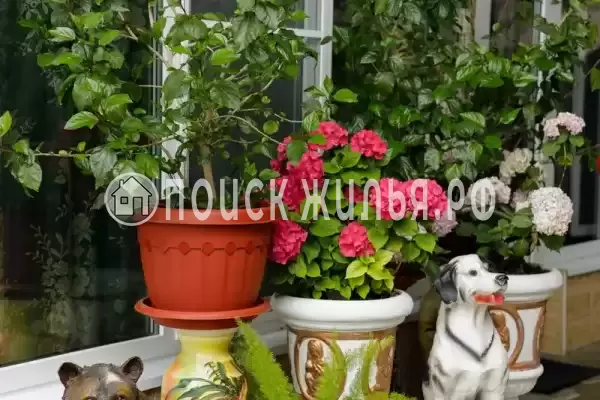 Частный сектор «Оазис», Джубга Частный сектор «Оазис», Джубга