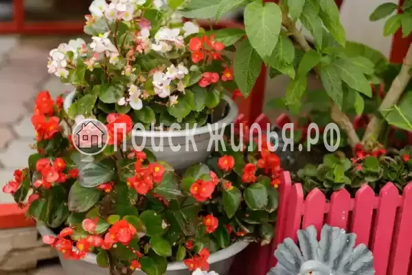 Частный сектор «Оазис», Джубга Частный сектор «Оазис», Джубга