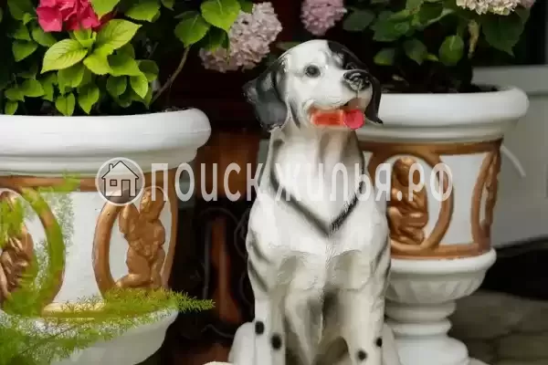 Частный сектор «Оазис», Джубга Частный сектор «Оазис», Джубга