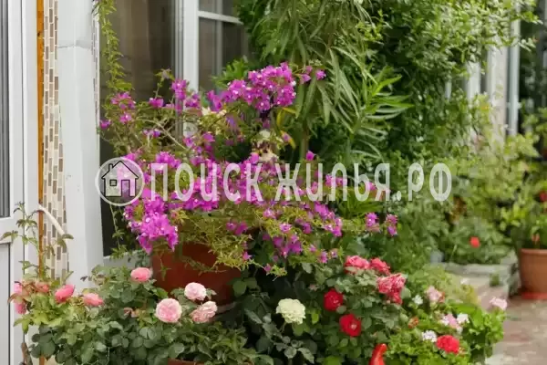 Частный сектор «Оазис», Джубга Частный сектор «Оазис», Джубга