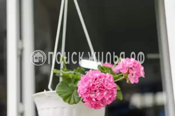 Частный сектор «Оазис», Джубга Частный сектор «Оазис», Джубга