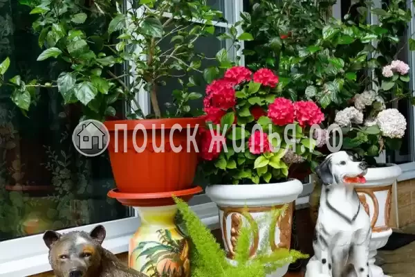 Частный сектор «Оазис», Джубга Частный сектор «Оазис», Джубга