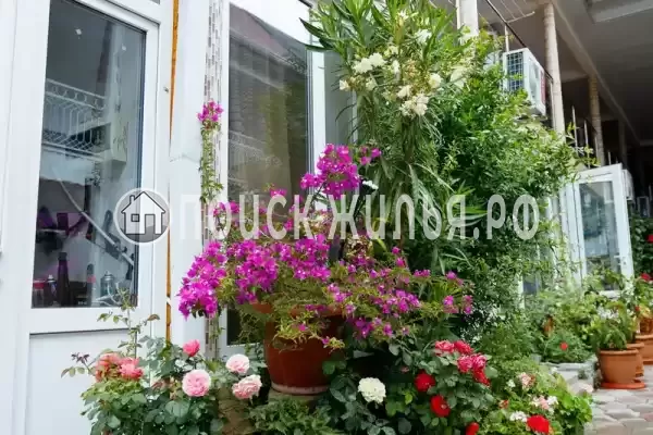 Частный сектор «Оазис», Джубга Частный сектор «Оазис», Джубга