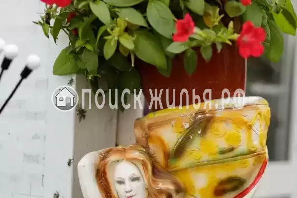 Частный сектор «Оазис», Джубга Частный сектор «Оазис», Джубга