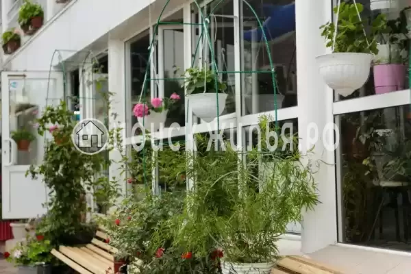 Частный сектор «Оазис», Джубга Частный сектор «Оазис», Джубга