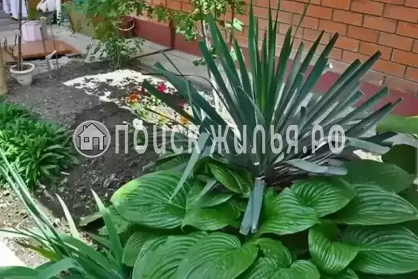 «София», Анапа «София», Анапа