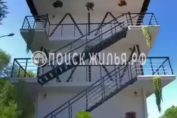 «Мила», Лазаревское «Мила», Лазаревское