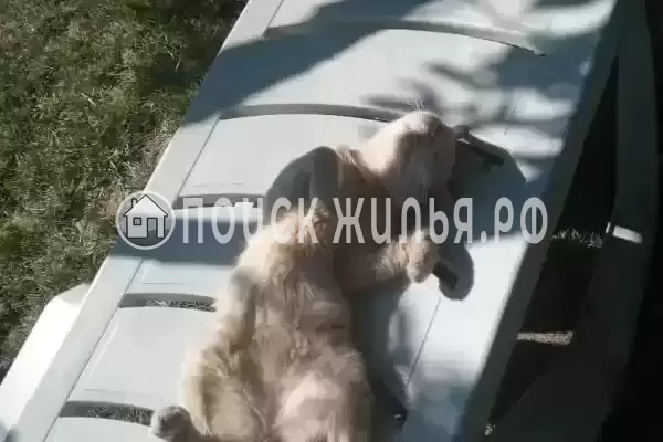 Частный сектор «Частный дом Вита», Голубицкая Частный сектор «Частный дом Вита», Голубицкая