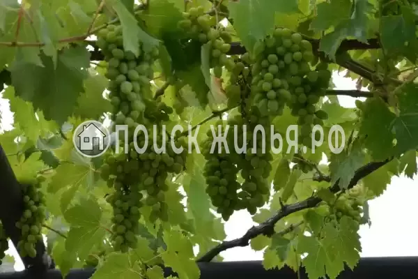 Частный сектор «Частный дом Вита», Голубицкая Частный сектор «Частный дом Вита», Голубицкая