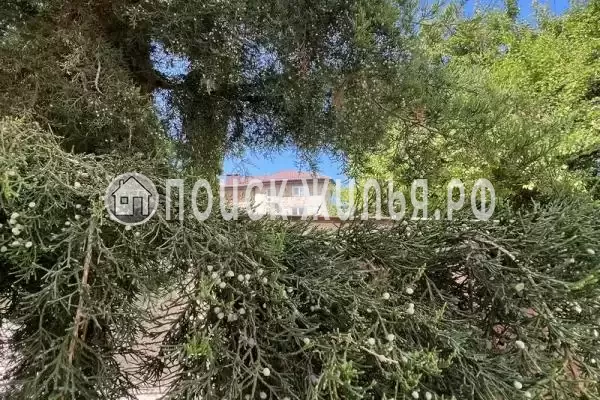 «У моря 9 граней», Анапа «У моря 9 граней», Анапа