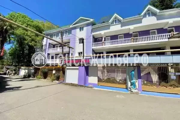 «Хризантема»