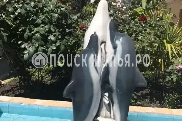 «Лиза», Лазаревское