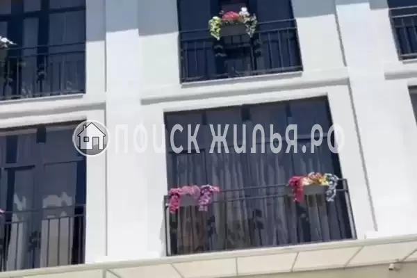 «Royal», Архипо-Осиповка