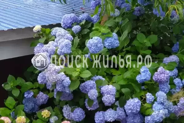 «Ласточкино гнездо», Лермонтово «Ласточкино гнездо», Лермонтово