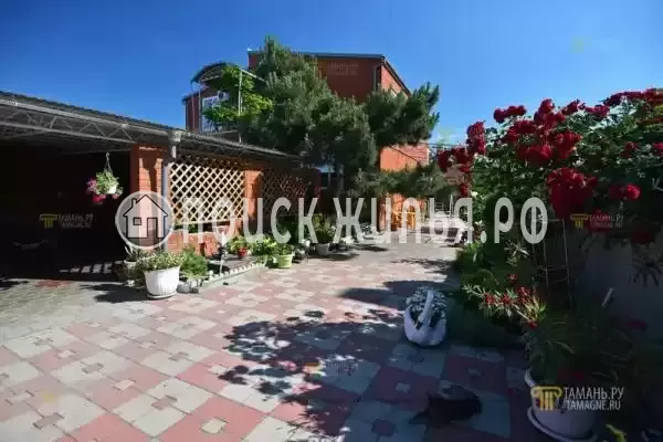 «Лебеди», Голубицкая