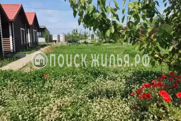 «Кедровая усадьба», Благовещенская