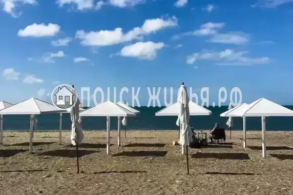 «Кипарис», Лермонтово