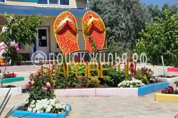 «Морская звезда», Благовещенская «Морская звезда», Благовещенская