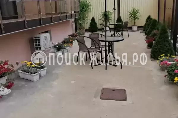 «Олимпик плюс», Лазаревское