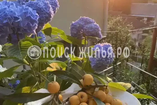 Частный сектор «Апельсин», Лазаревское