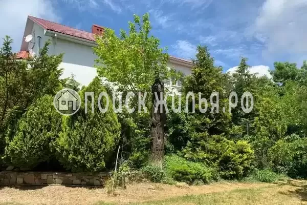 «В Кринице», Криница