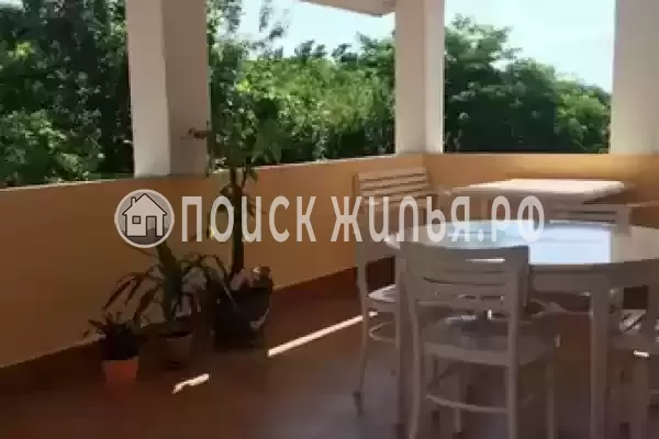 «В Кринице», Криница