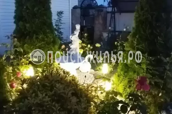 «Виола», Благовещенская