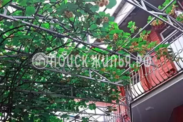 «Аметист», Лазаревское «Аметист», Лазаревское