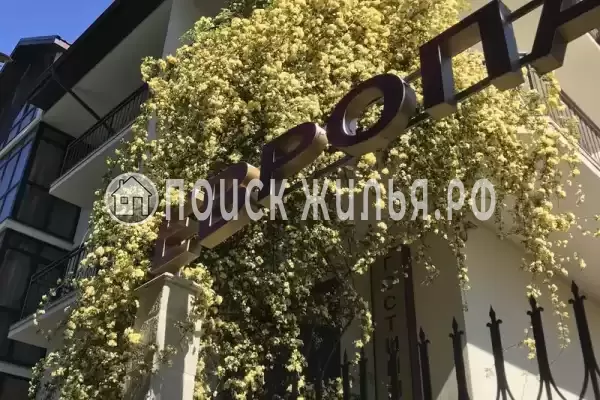 «Европа», Лазаревское «Европа», Лазаревское