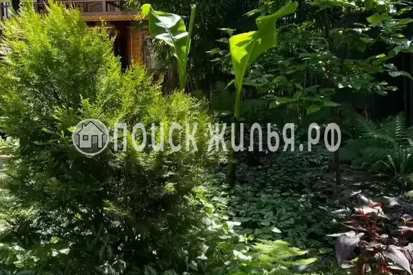 «Светлана», Лазаревское