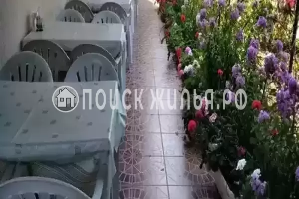 «Виталий», Лазаревское «Виталий», Лазаревское