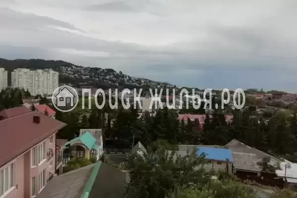 «Сеньор», Лазаревское «Сеньор», Лазаревское