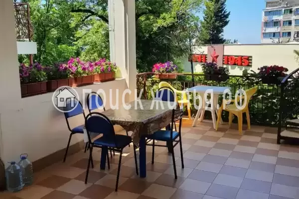 «Сеньор», Лазаревское «Сеньор», Лазаревское