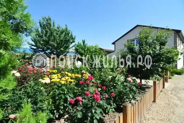 «Черномор», Благовещенская