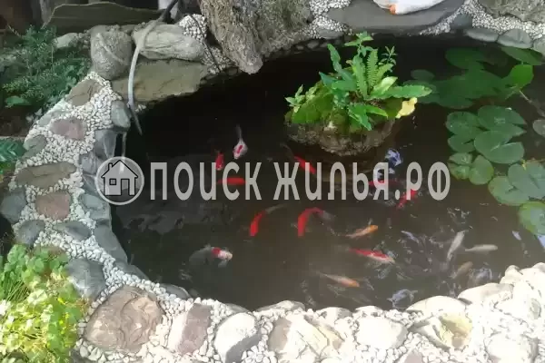 «Капитан Врунгель», Лазаревское