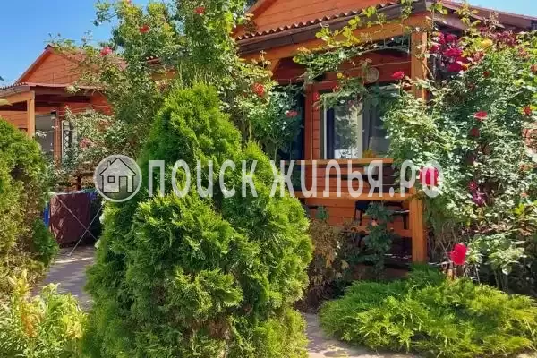 «Белые ночи», Благовещенская «Белые ночи», Благовещенская