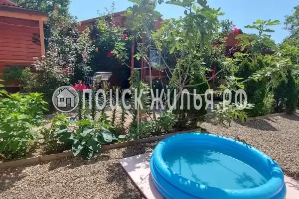 «Белые ночи», Благовещенская «Белые ночи», Благовещенская