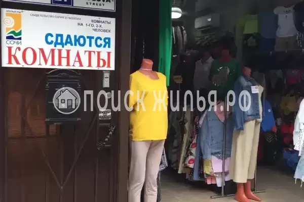 «Элина», Лазаревское