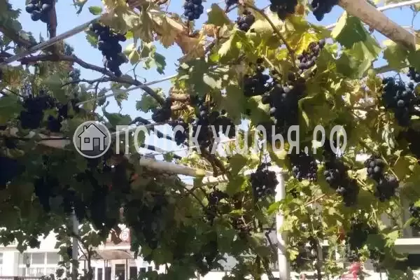 «На школьной», Архипо-Осиповка