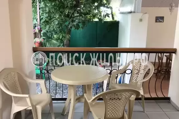 «Адениум», Лазаревское