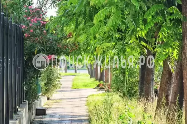 «Grand Family», Лазаревское «Grand Family», Лазаревское