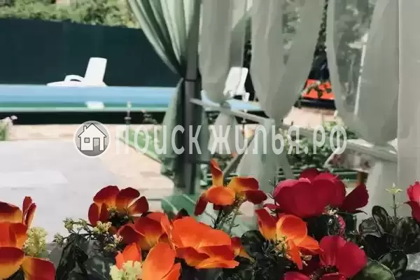 «Лукоморье», Архипо-Осиповка