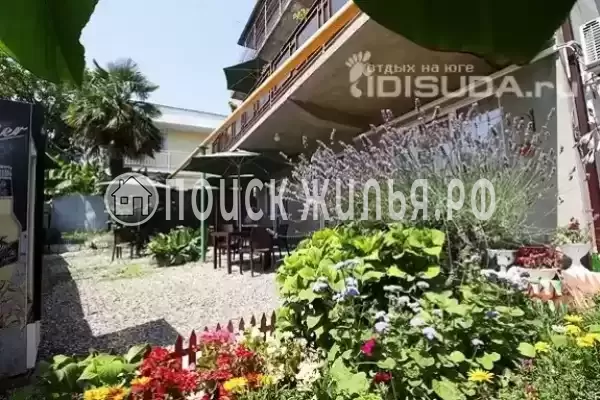 «У Елены», Лазаревское