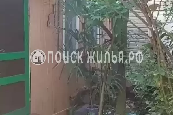 «Центр», Сочи