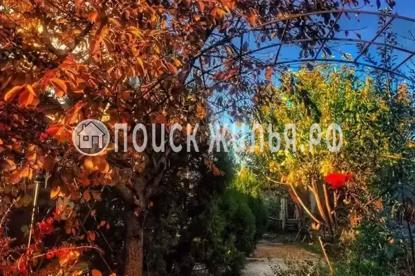 «Вилла Роз», Благовещенская