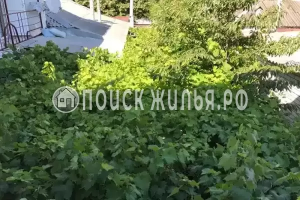 «Амелия», Анапа