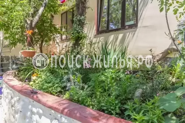 «Пассифлора», Лазаревское