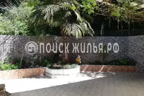 «Нина», Лазаревское «Нина», Лазаревское