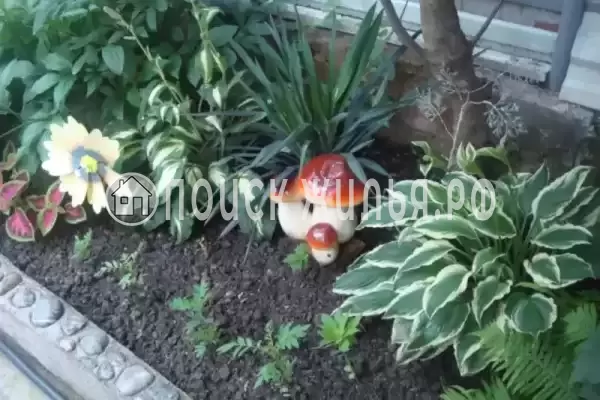 Частный сектор, Победы, д.243А, Лазаревское Частный сектор, Победы, д.243А, Лазаревское